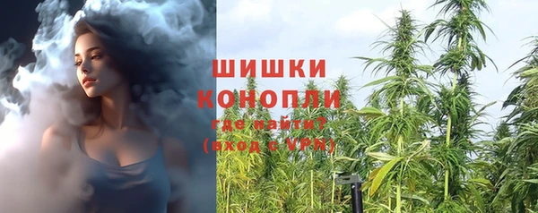 эйфоретик Арсеньев